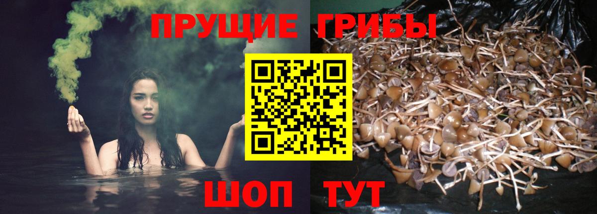 Псилоцибиновые грибы Cubensis  Вход с VPN  Горячий Ключ 